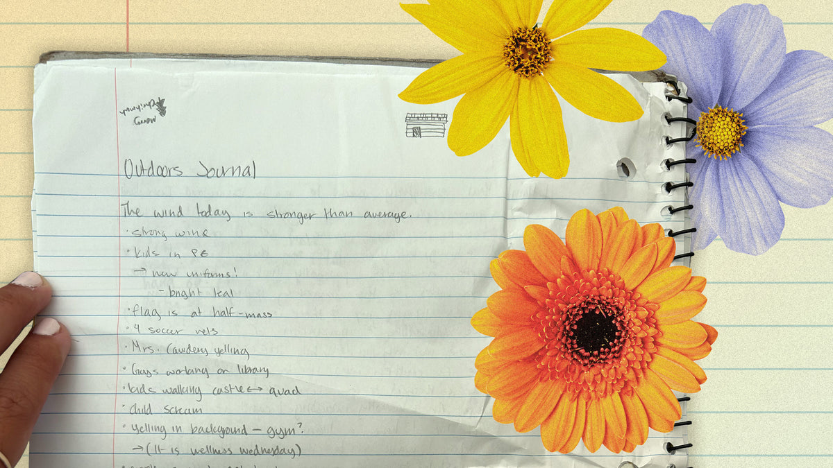 The Benefits of Nature Journaling in English Class